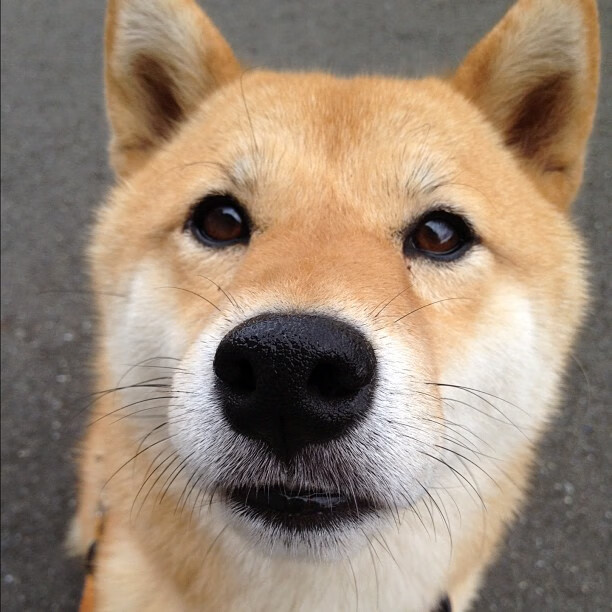 AYX GAMING-“青少年足球赛事全面升级，比赛更激烈更精彩”，青少年 足球