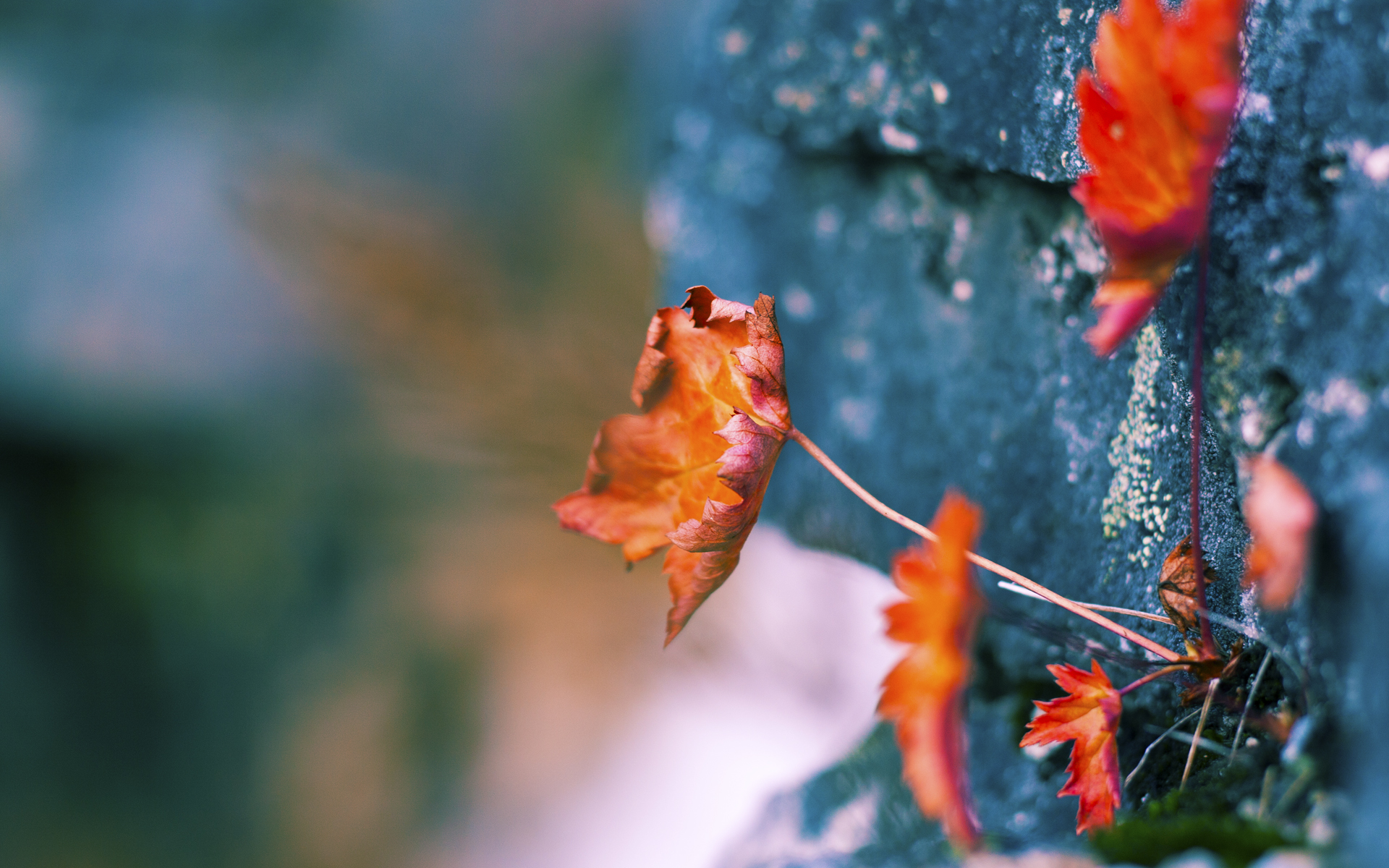 爱游戏平台-《《守望先锋》新英雄“炼狱”上线，战术布置再升级》，守望先锋训练