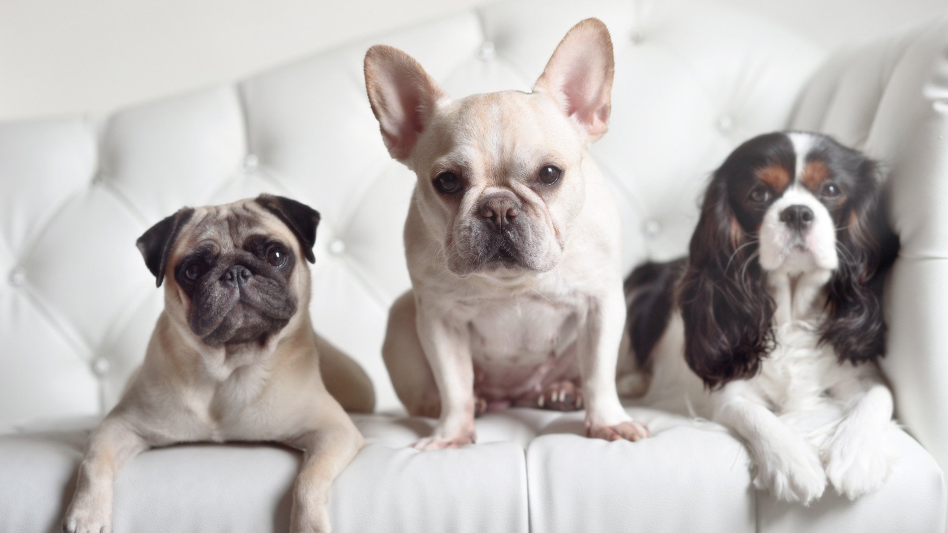 爱游戏体育app-切尔西在英超中立场逐步稳固，追赶排行榜前列，切尔西英超排名近30年