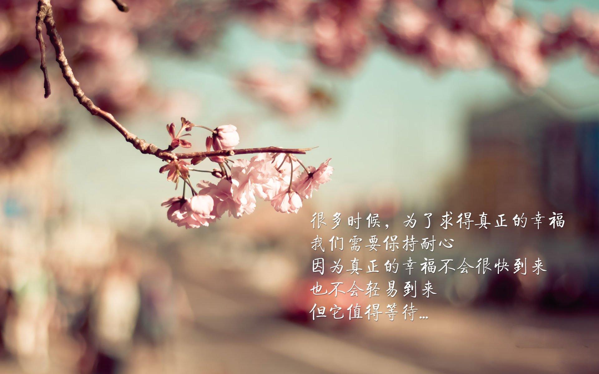 特色篮球赛事丰富多彩，助力体育+文化的多元融合，篮球特色活动