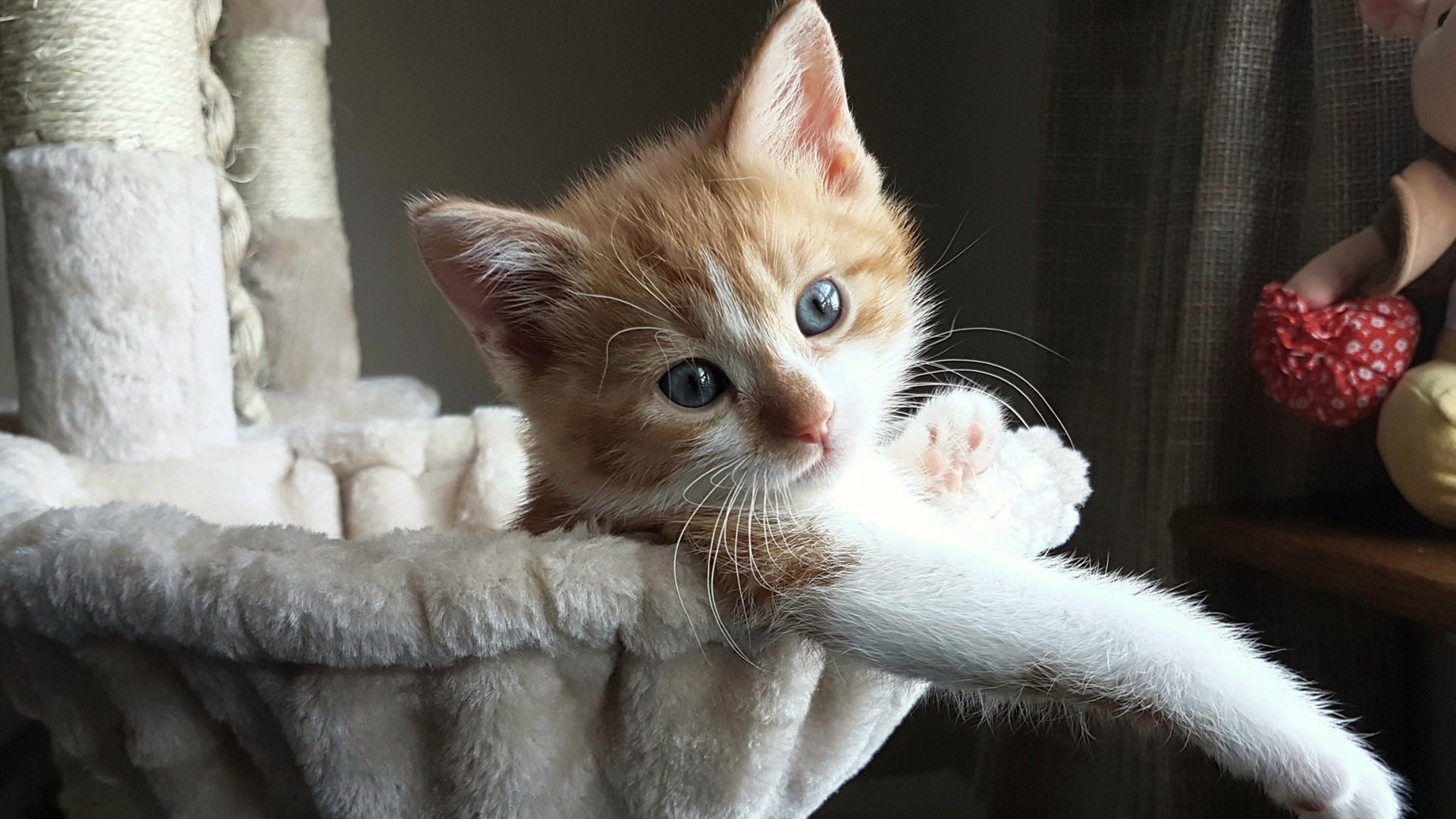 爱游戏 电竞-科比·布莱恩特：用十个字定义“伟大”的篮球传奇！，科比·布莱恩特简介