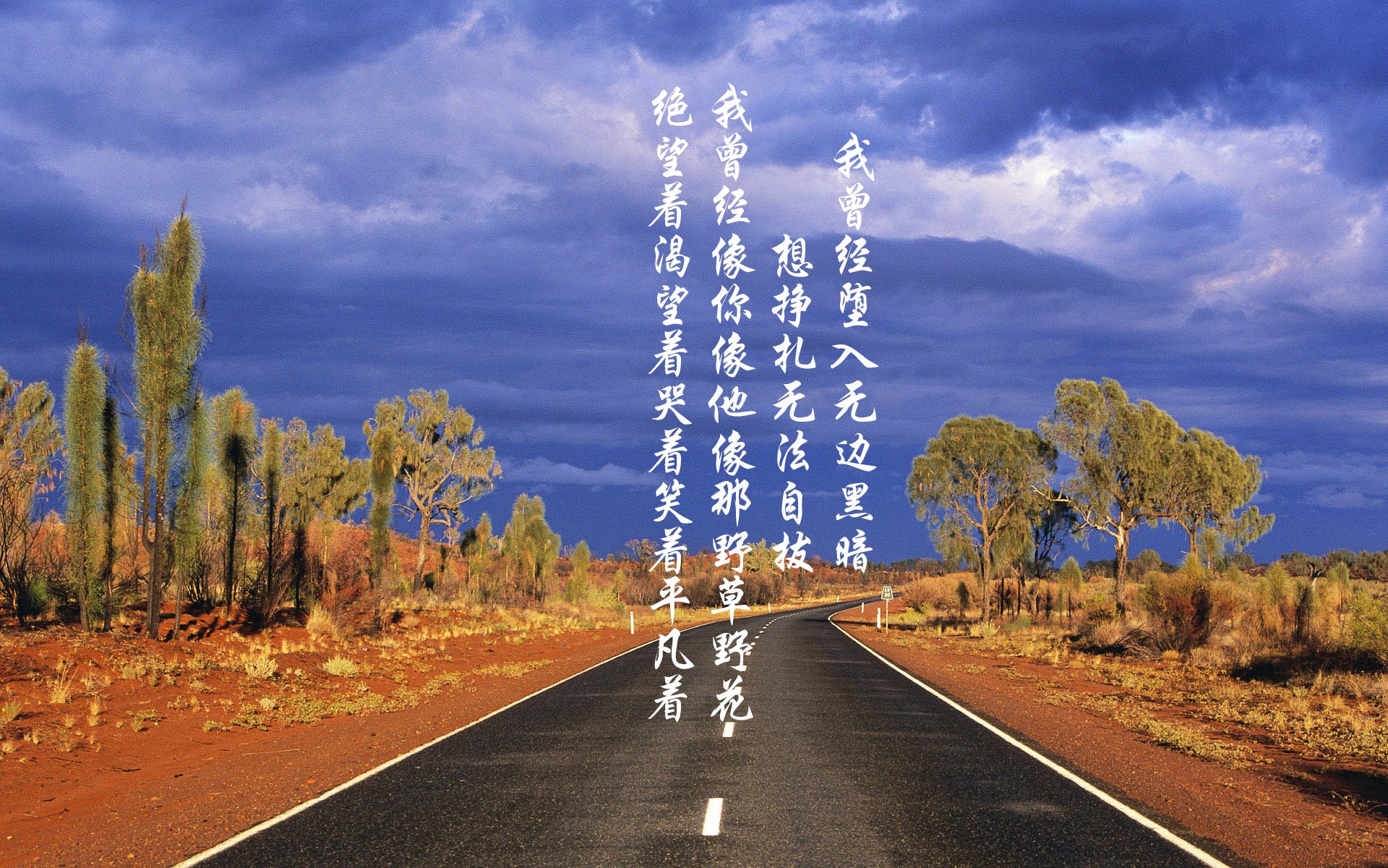 CBA球队新帅上任,带领球队冲击冠军荣耀,cba球队队员