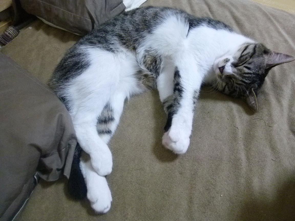 AIYOUXI.COM-尤文图斯客场逆转 曼联遭遇连败，尤文图斯客场逆转 曼联遭遇连败是哪一年