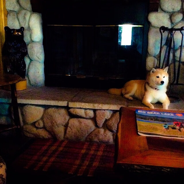 开拓者队新人表现持续走高,开拓者队怎么样