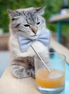 爱游戏中国官方登录入口网站-意大利选手团结一心，喜获胜利，意大利 团结