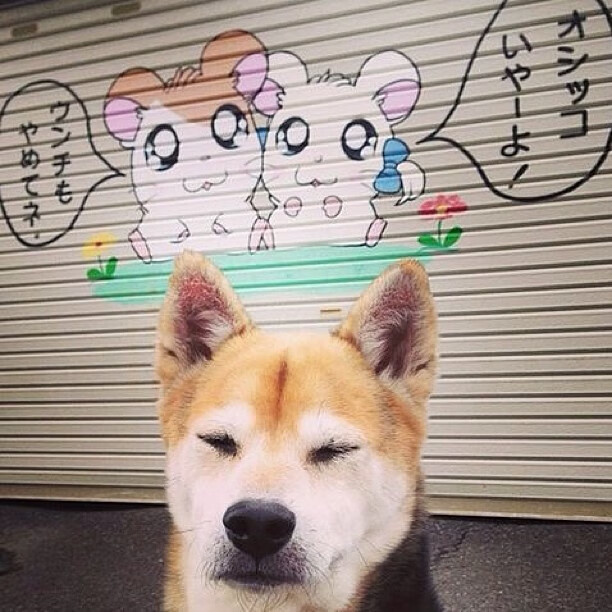 阿尔巴尼亚队遭遇连败，俱乐部球员态度认真，阿尔巴尼亚现状视频