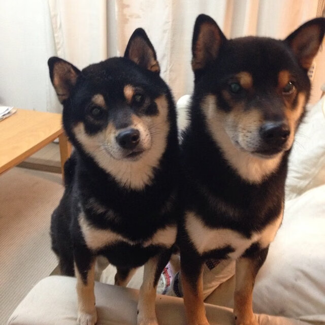 爱游戏官方网站-韩国电视剧热播引国际粉丝追捧，韩国电视剧热榜