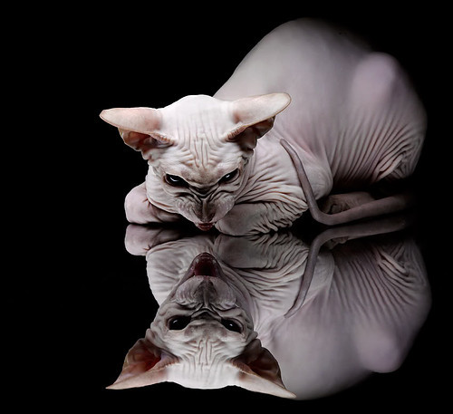 中小学体育课程创新教学设计,小学体育创新课教案