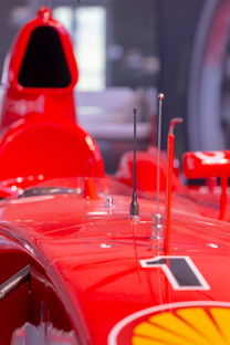 AYX SPORTS-全国青少年旱地冰球锦标赛在哈尔滨精彩展开，旱地冰球比赛时间