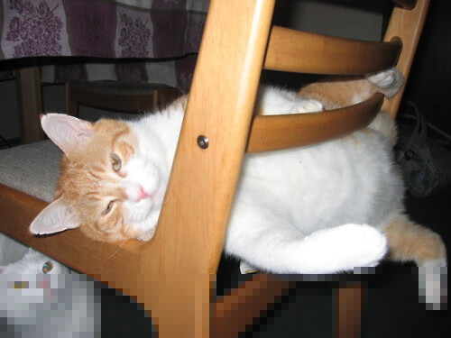 国足中前场协同评分系统架构设计,足球中前场