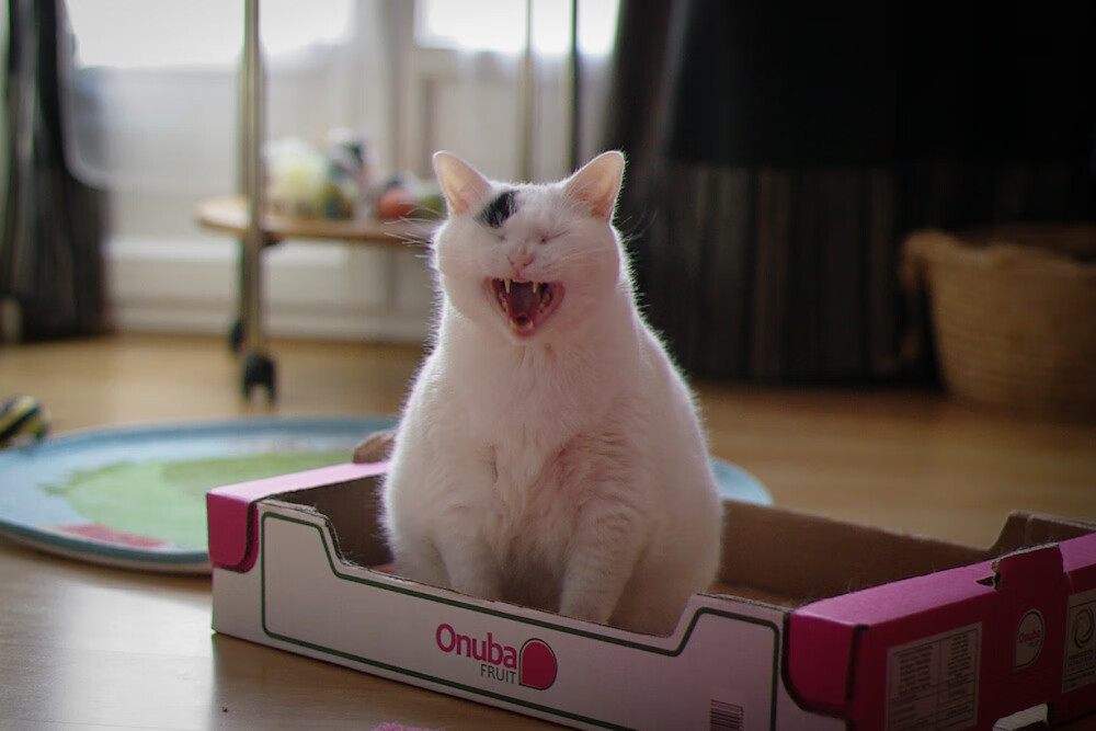 篮球运动员心理健康维护体系建设研究,篮球运动员心理健康维护体系建设研究论文