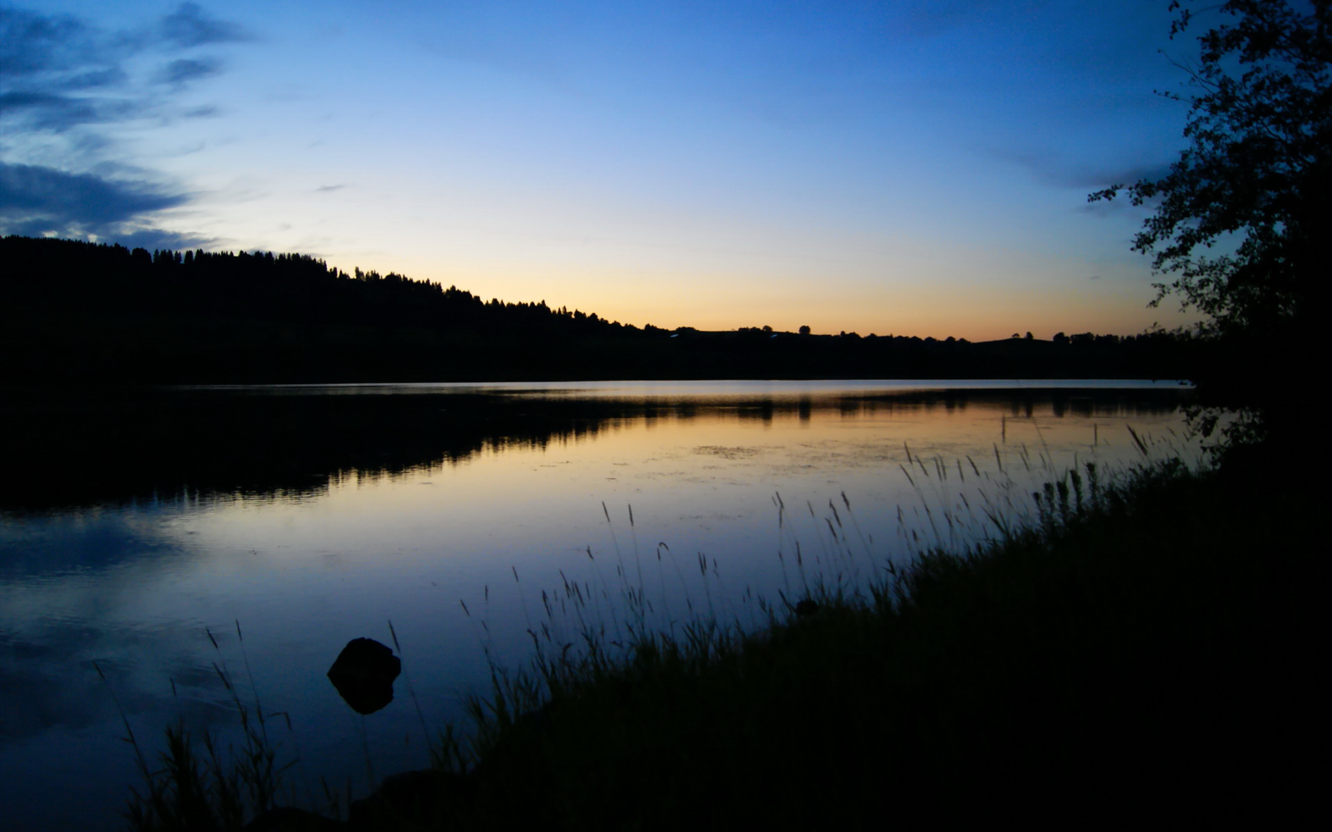 青少年足球普及:数字化平台推动青训全覆盖,青少年 足球