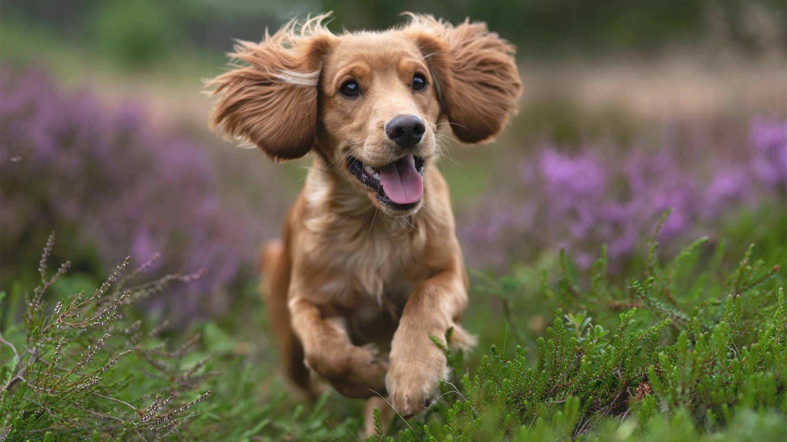 爱游戏中国官方网站平台-CBA球队科学训练 力求突破，cba球员训练时间