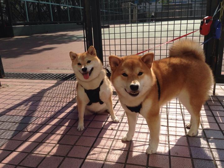 国际热身赛国家队爆冷 战术布局引发热议，国际热身赛直播