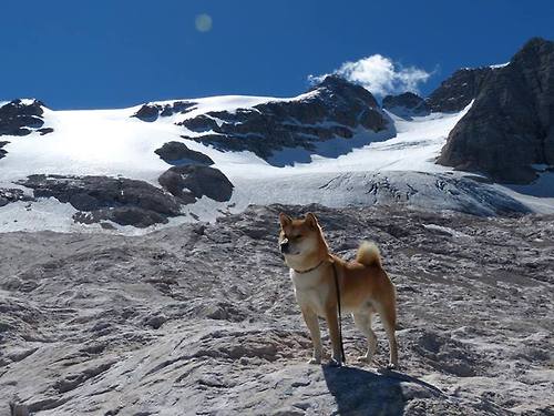 混合双打赛制引爆热潮，观众期待精彩对决，混合双打决赛几局几胜