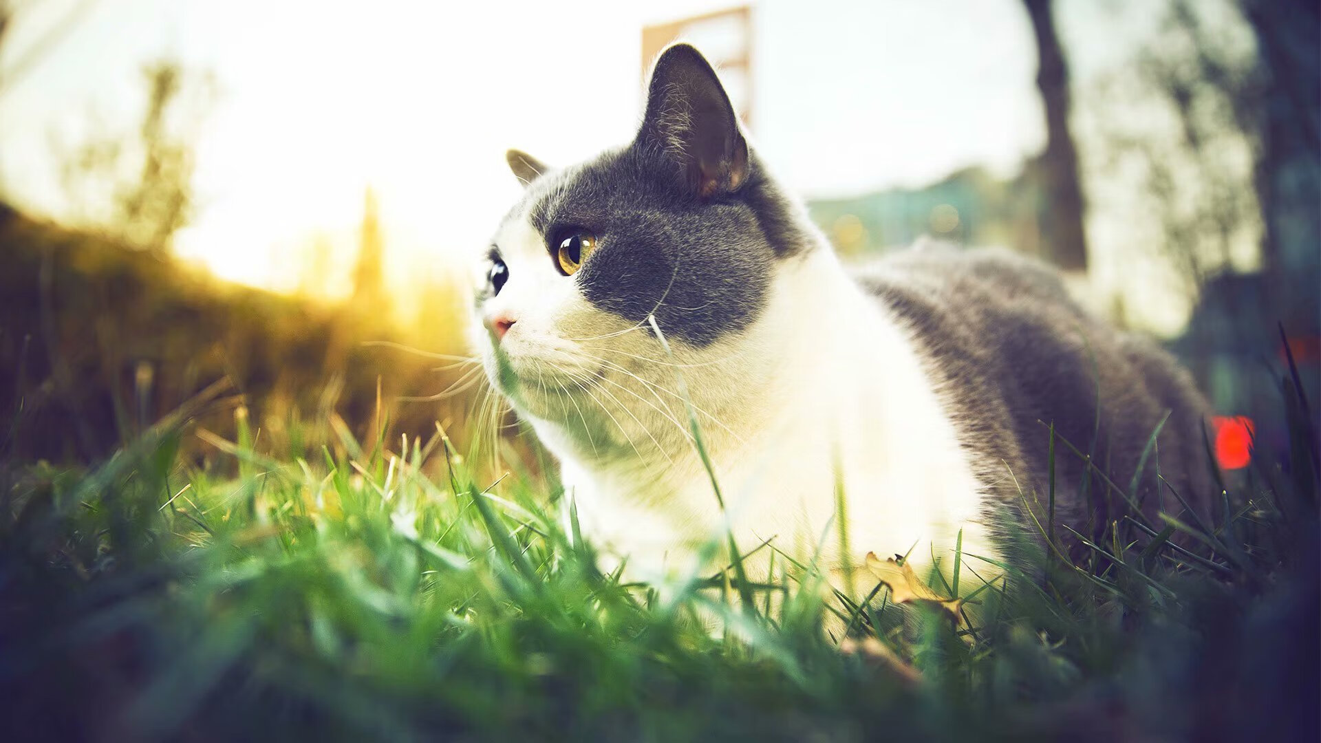 足球青训基地加入国际合作项目,提升培训质量,全国足球青训机构排名