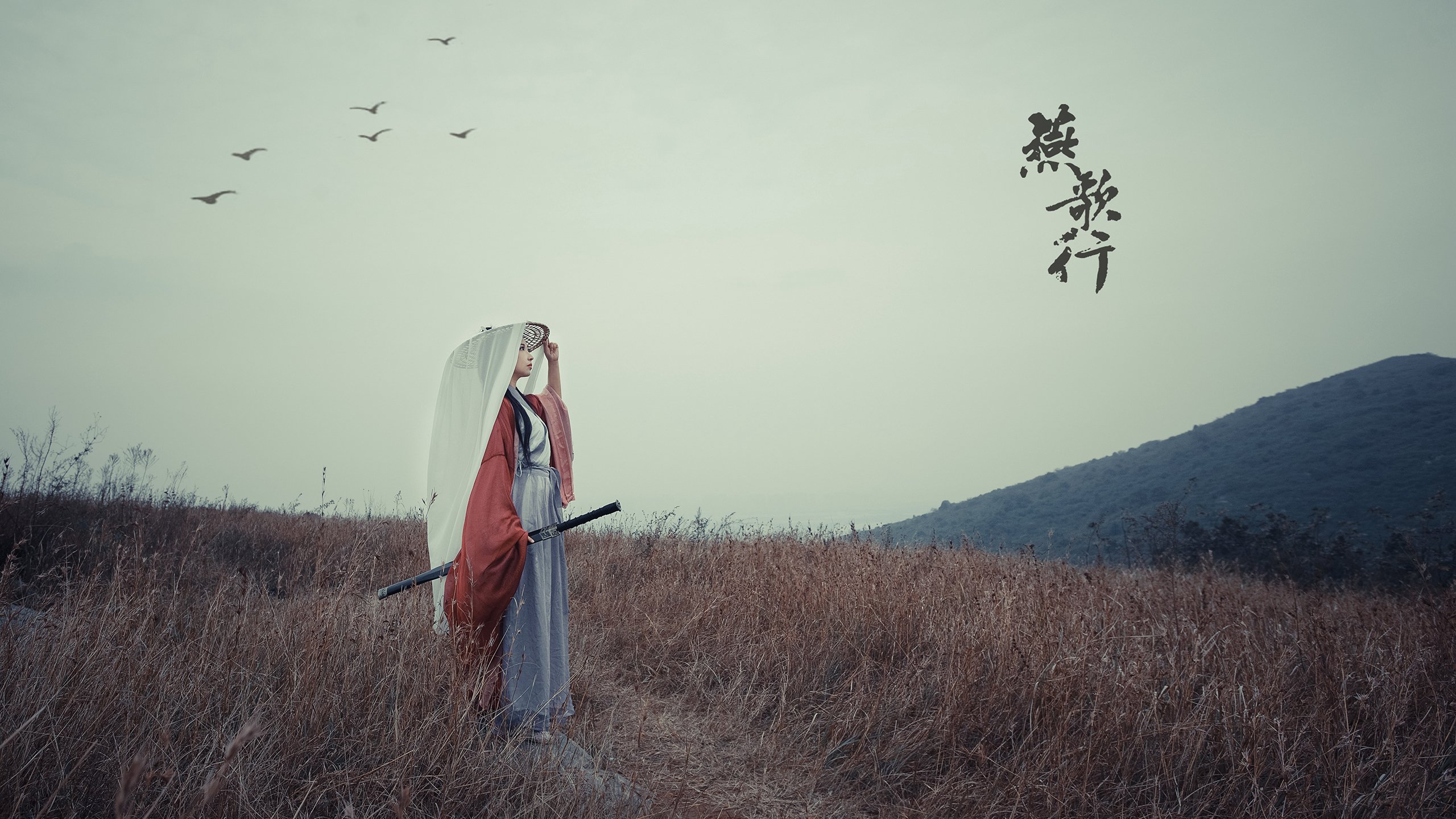 陈艺文称霸女子跳板项目,跳水陈艺文能参加奥运会吗