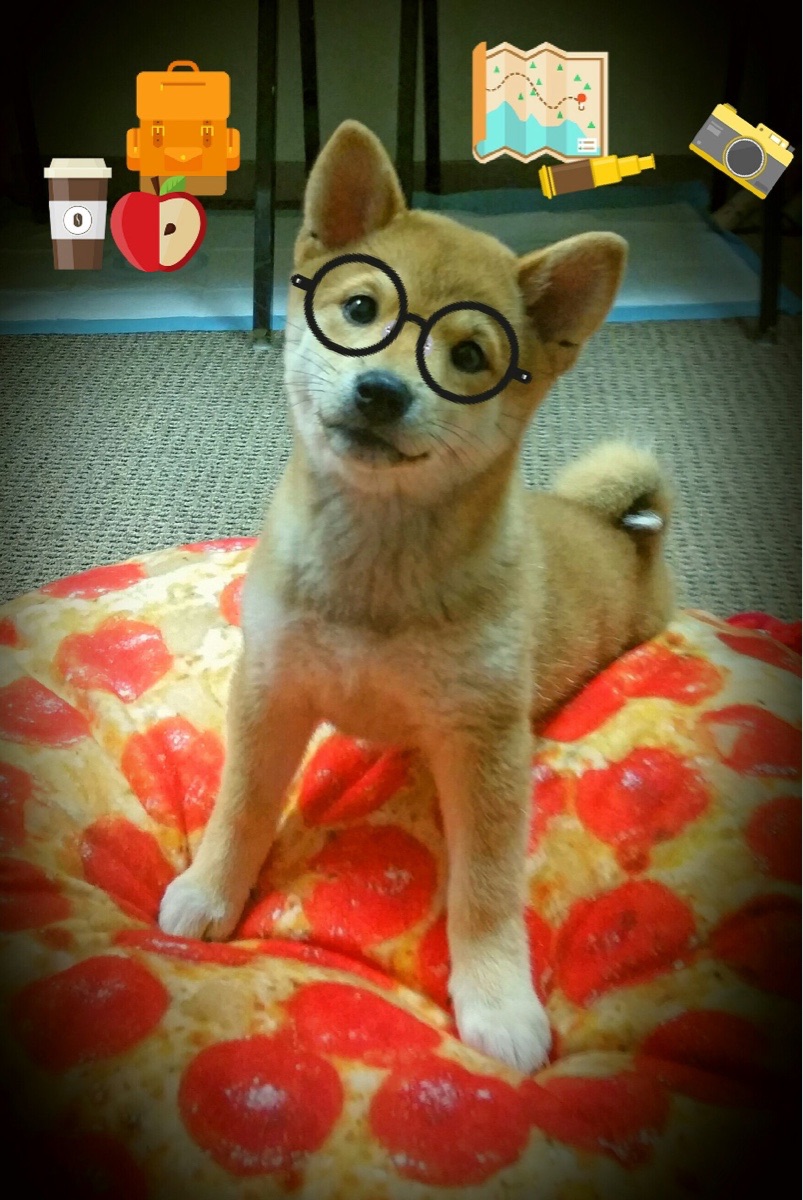 马刺新援展现拼劲赢得教练组认可,马刺队首发