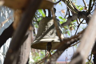 爱游戏电竞-NBA球员转会市场动态，nba转会名单