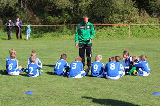 爱游戏体育在线赛事-高校体育赛事品牌传播策略创新,体育赛事营销有哪些创新方式