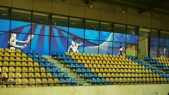 AYX体育-新加坡队未来计划：建立更完善的青少年乒乓培养体系，新加坡乒乓球运动